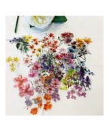ETIQUETAS DE FLORES TRANSPARENTES PARA MANUALIDADES 10 UNIDADES