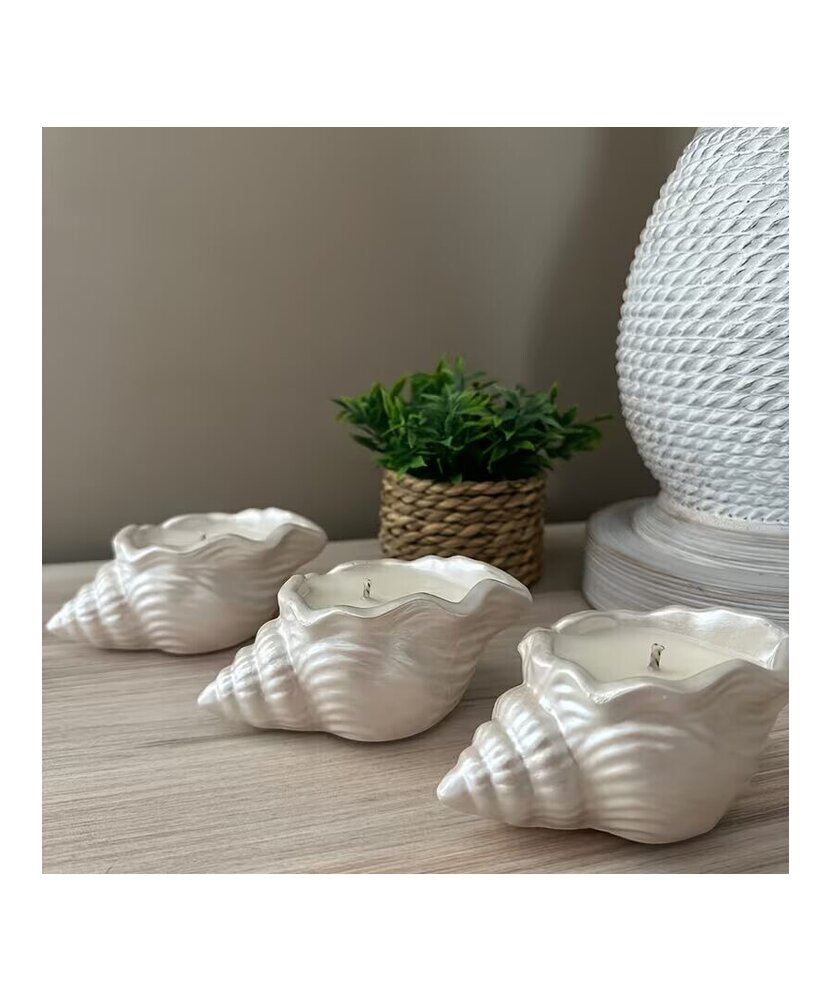 BOLSAS DE ORGANZA BLANCA 10 UNIDADES