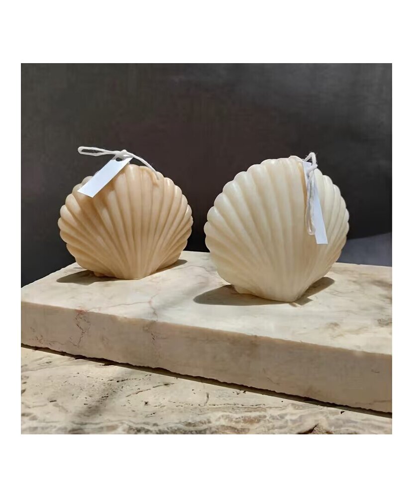 MOLDE CONCHA MARINA 3D PEQUEÑA