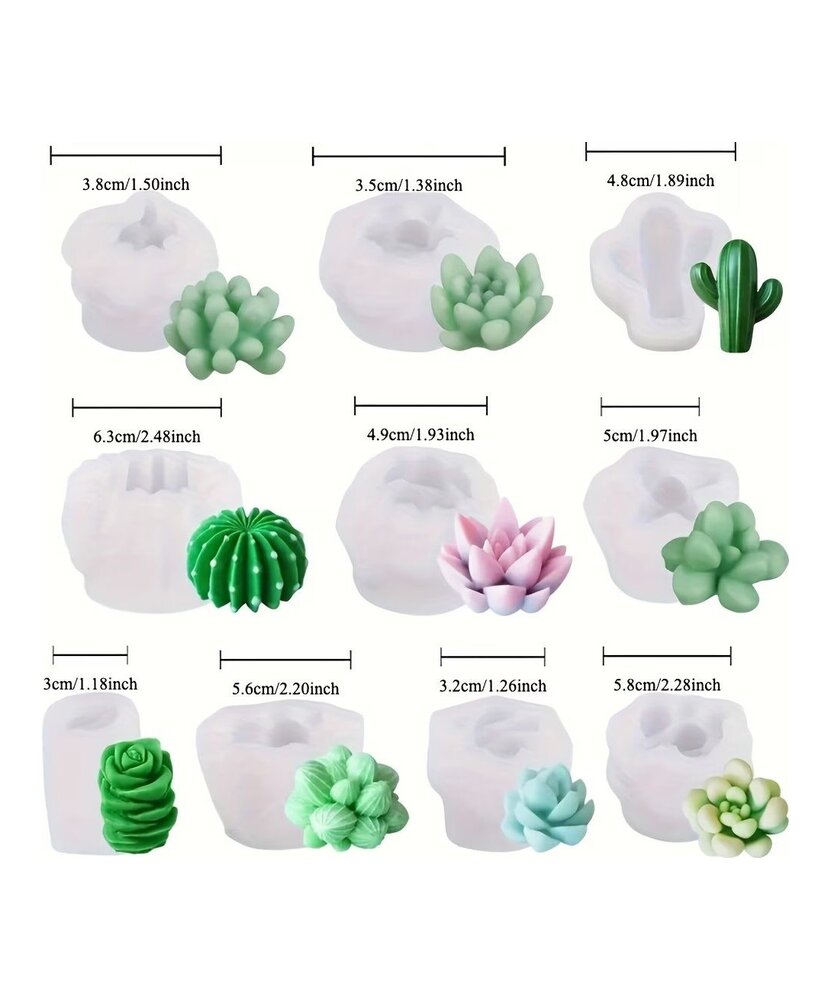 MOLDE CACTUS 10 PIEZAS