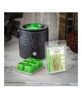 ENVASE PLASTICO PARA WAX 6 CAVIDADES