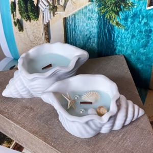 MOLDE CONCHA MARINA CERRADA